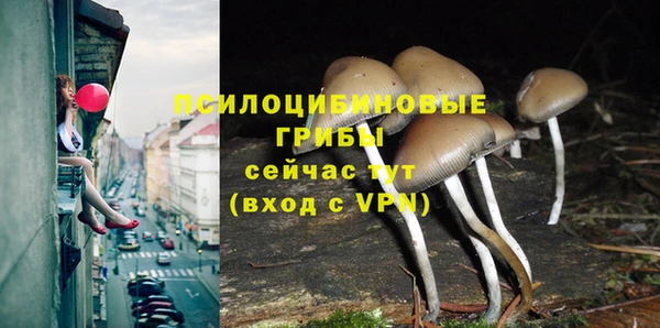 jwh Магас