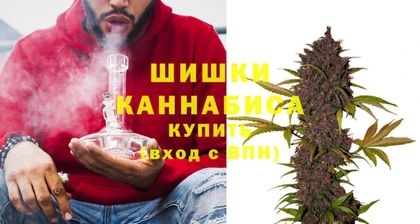 сатива Гвардейск