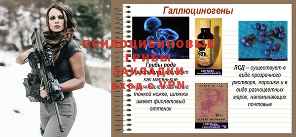 мдпв Майский