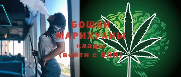 мдпв Майский