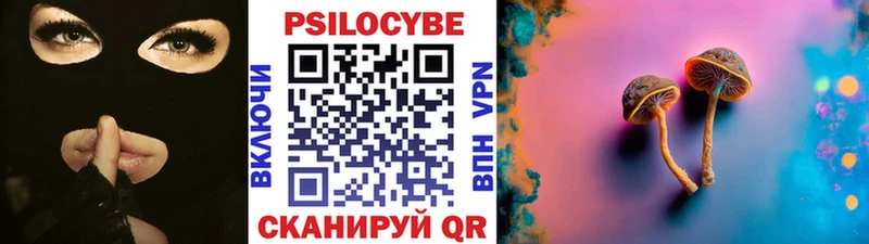 Галлюциногенные грибы Psilocybe  купить  цена  Морозовск 
