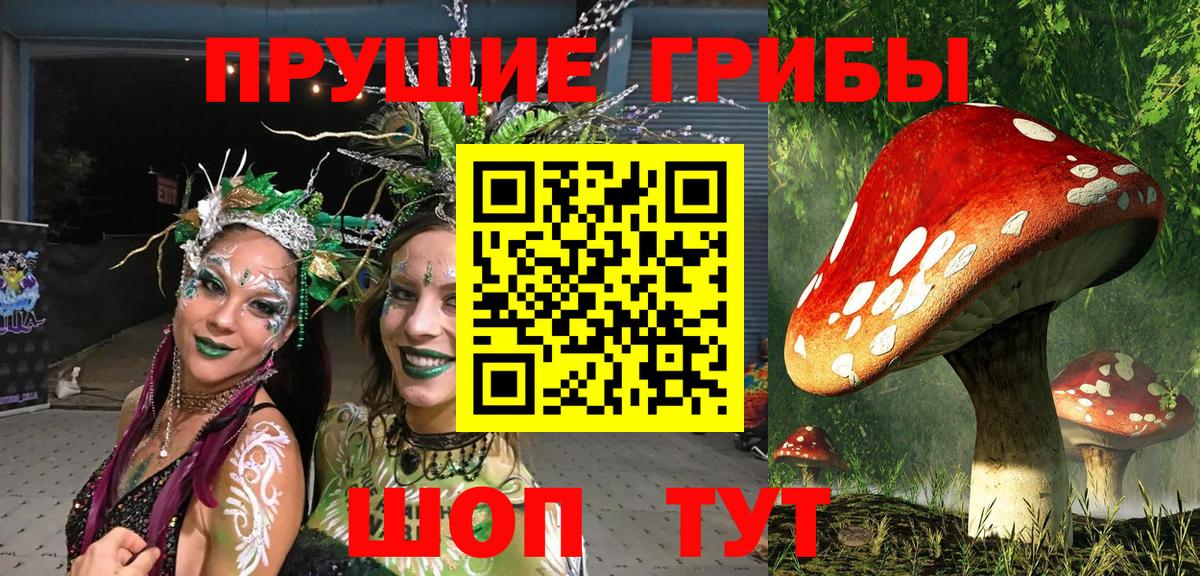 Галлюциногенные грибы мухоморы Морозовск