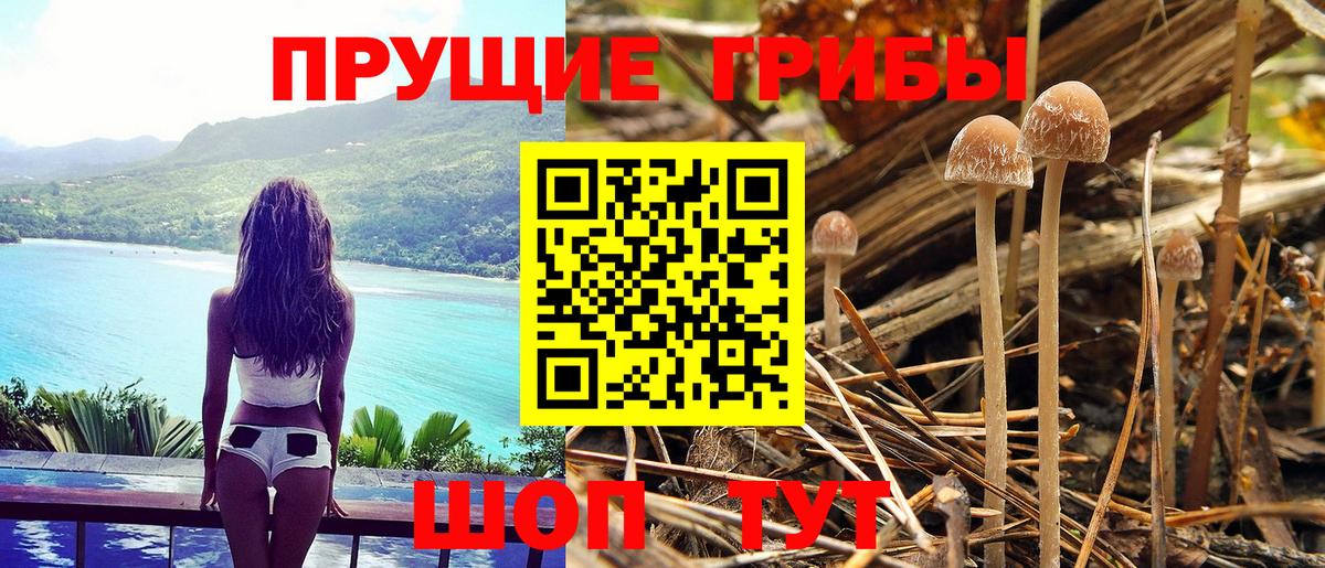 МАРИХУАНА  КОКАИН  МДМА  МЕФ кристаллы  ГАШИШ  ТГК  Морозовск  Вход с VPN 