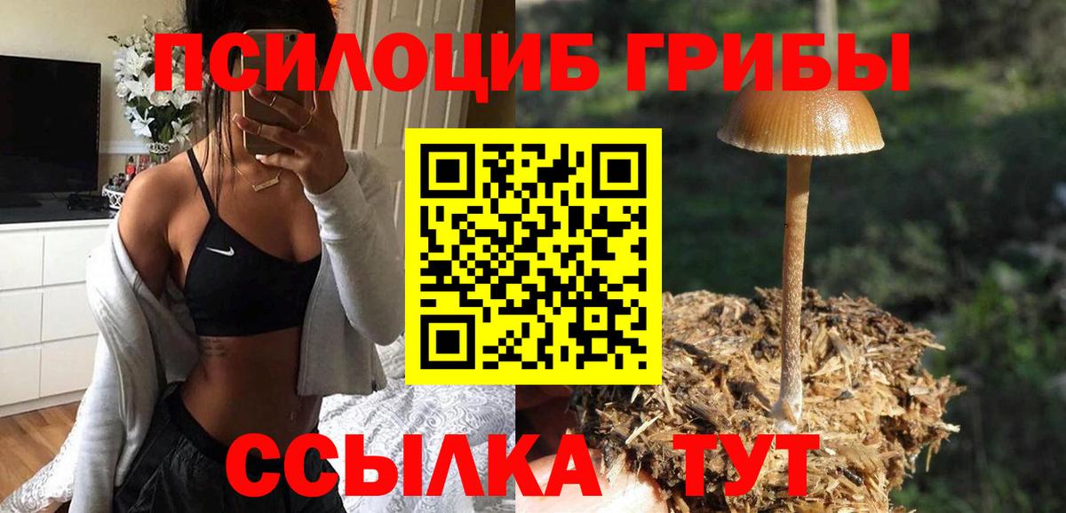 Галлюциногенные грибы Magic Shrooms  цены   Морозовск  Вход с VPN 